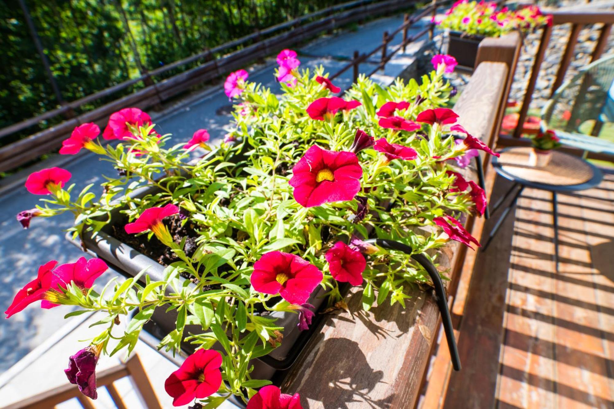 Achillea Apartment Rhemes-Saint-Georges Екстериор снимка